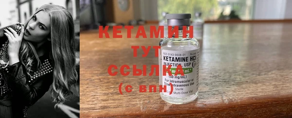 индика Алагир