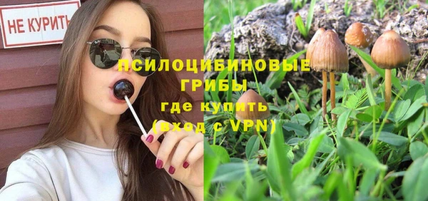 MESCALINE Алзамай