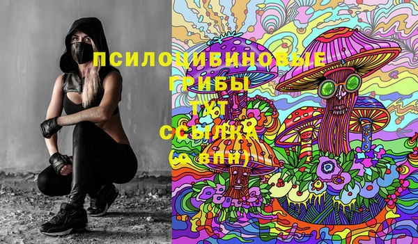 гидра Надым