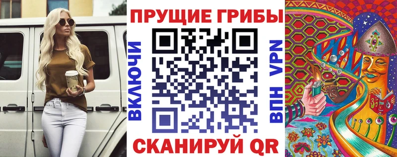где можно купить   Бердск  Галлюциногенные грибы мухоморы 